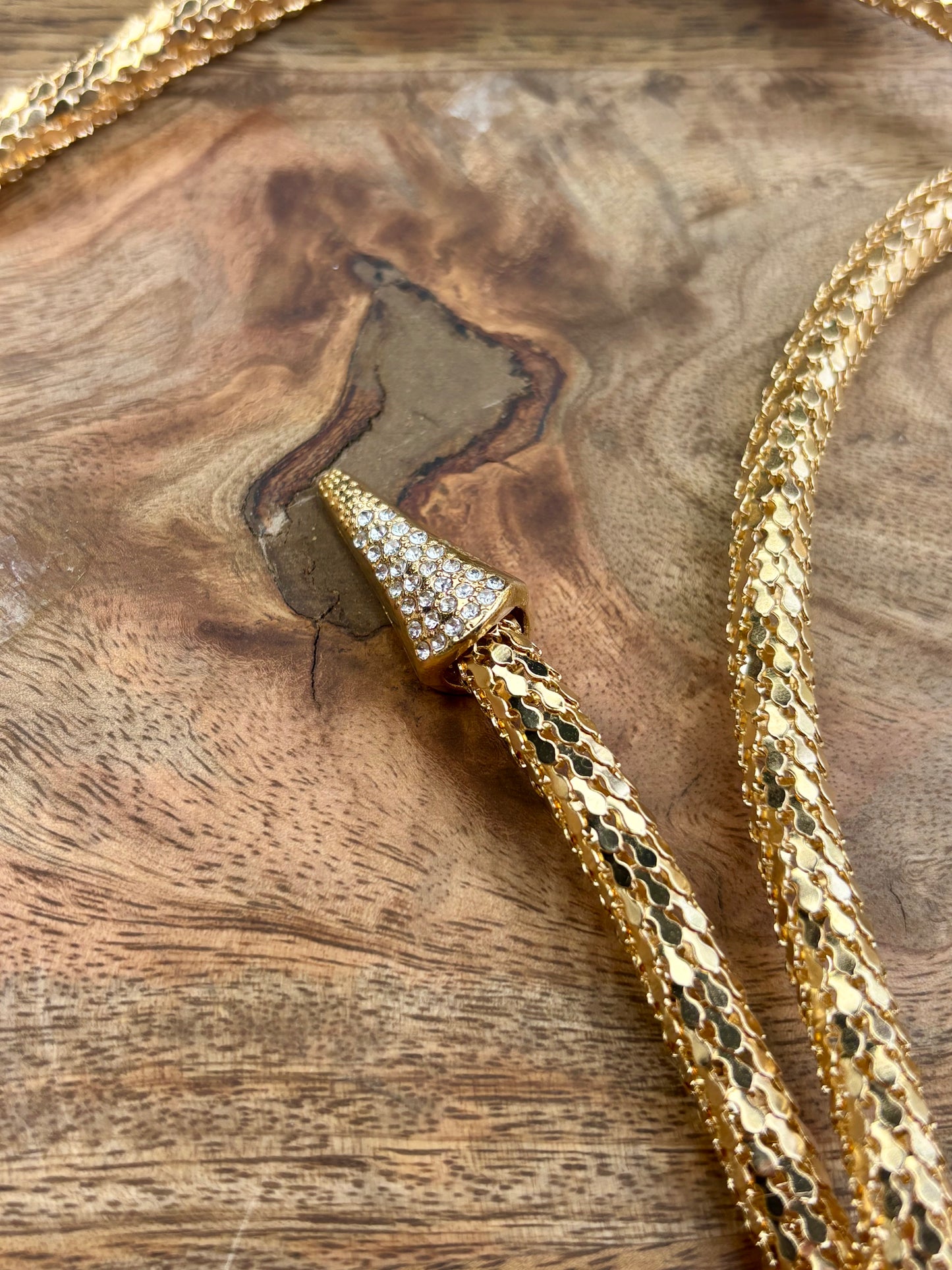 Golden Serpent Magnetized Tie Necklace