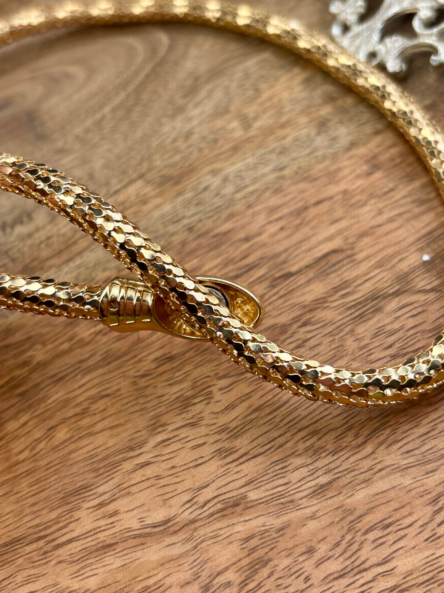 Golden Serpent Magnetized Tie Necklace